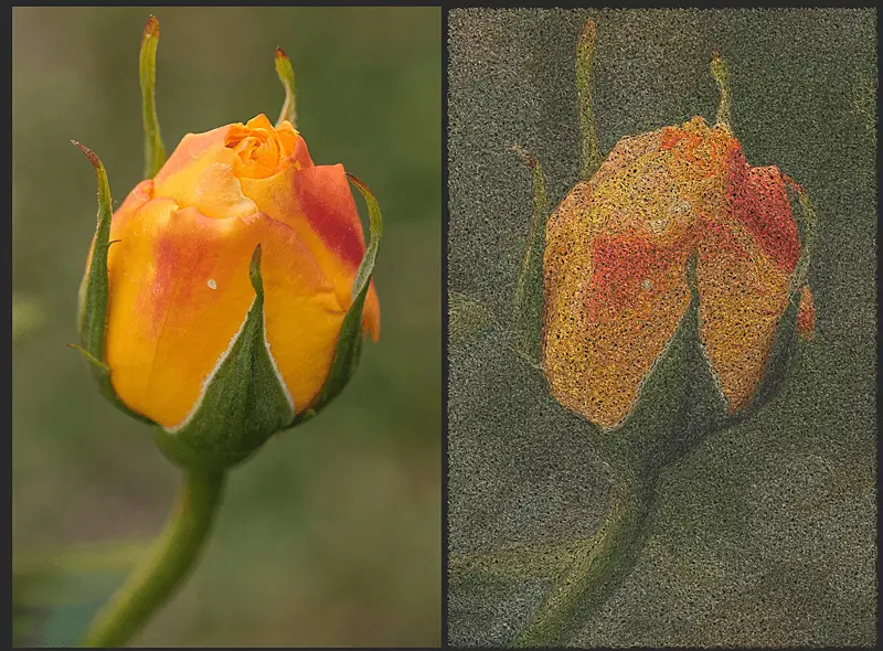 DRAWings PRO XII embroidery software 5 Convert any photo to a beautiful PaintStitch masterpiece